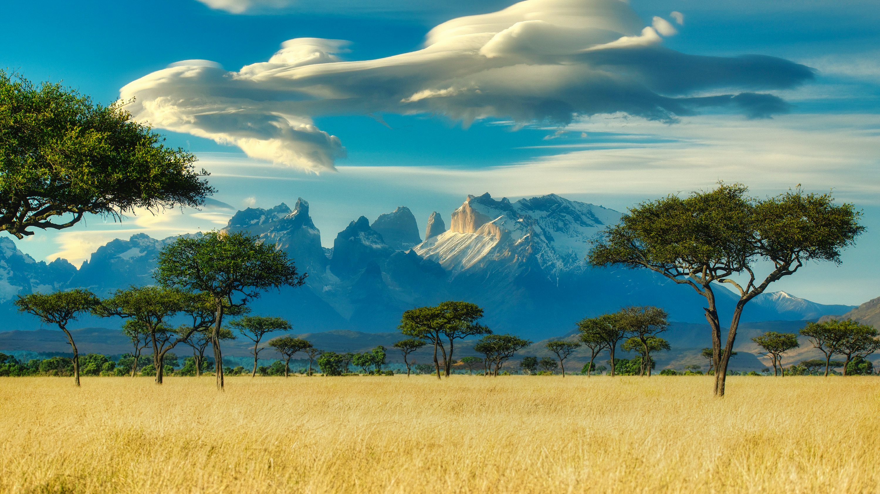 Aerial view over African plains